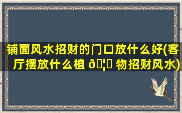 铺面风水招财的门口放什么好(客厅摆放什么植 🦄 物招财风水)